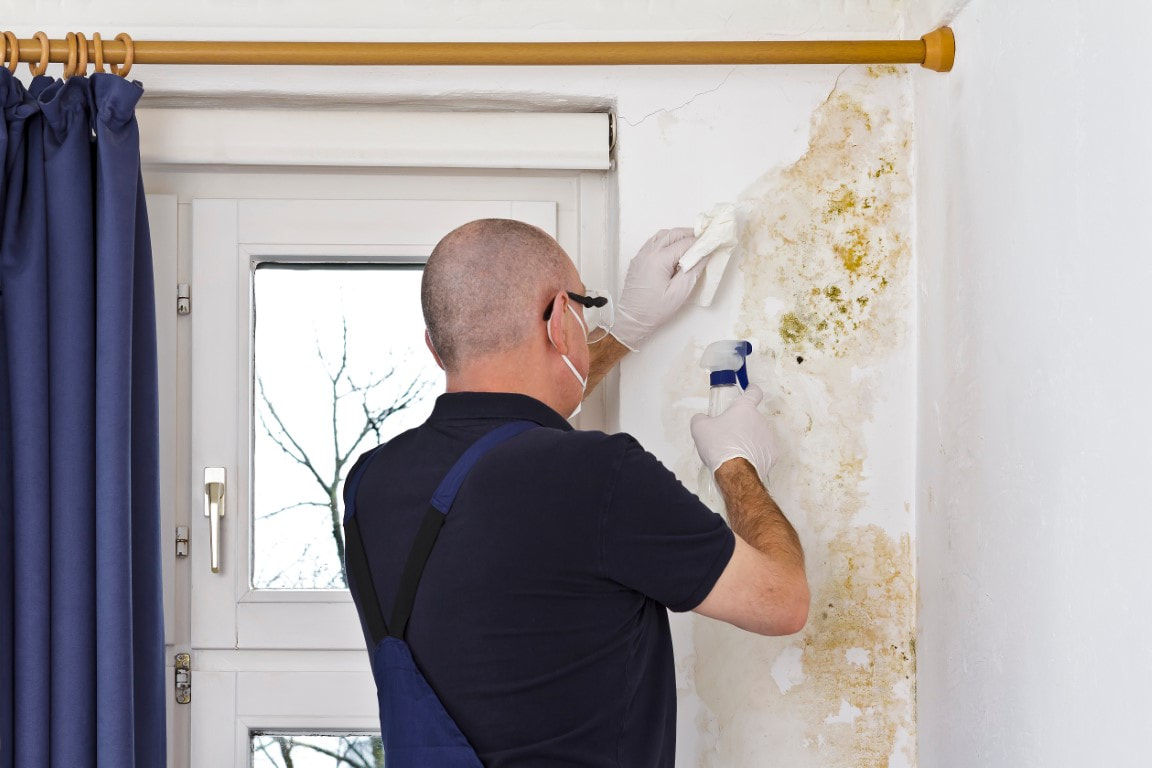 An image of Mold Inspection in Oakland, CA