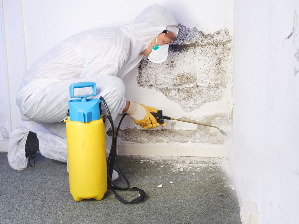 An image of Mold Remediation in Oakland, CA