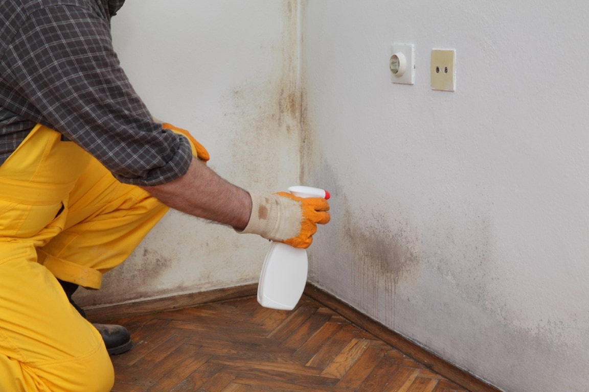 An image of Mold Mitigation in Oakland, CA