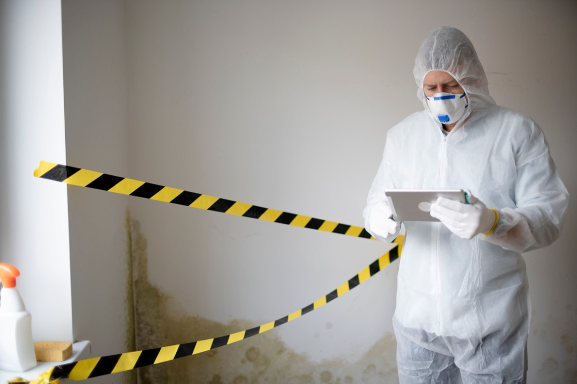 An image of Mold Removal Services in Oakland, CA